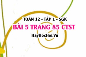 Bài 5 trang 85 Toán 12 tập 1 Chân trời sáng tạo